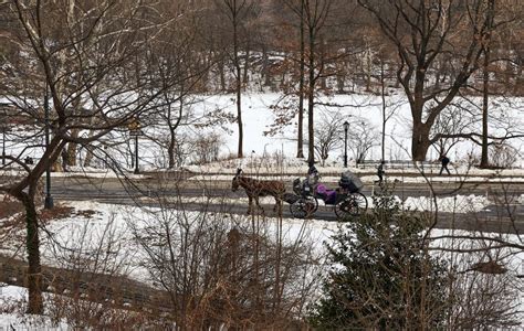 Horse Carriage in Central Park, New York in Winter Stock Photo - Image ...