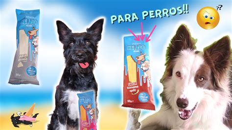 Lana Y Mel Prueban Helados Para Perros Reto De Comida Youtube