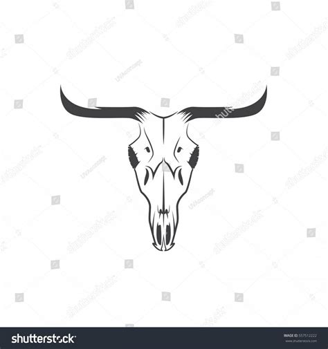 Steer Skull Vector at Vectorified.com | Collection of Steer Skull ...