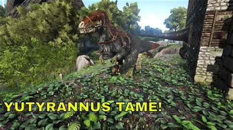 How To Tame A Yutyrannus Ark Survival Evolved Youtube