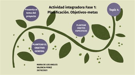 Actividad integradora Fase 1 Planificación Objetivos metas by Maria