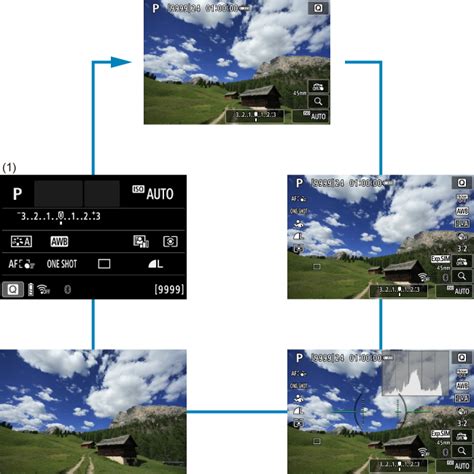 Canon Manual Del Producto Eos R Operaciones B Sicas