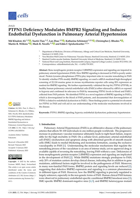 PDF PTPN1 Deficiency Modulates BMPR2 Signaling And Induces