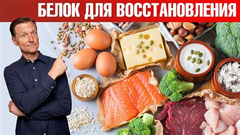 Белок в продуктах - зачем нужен белок и как его употреблять