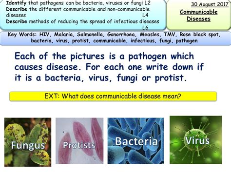 Gcse Biology Communicable Disease 26 Youtube