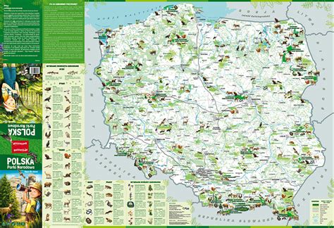 Polska Parki Narodowe Mapa Dla Dzieci