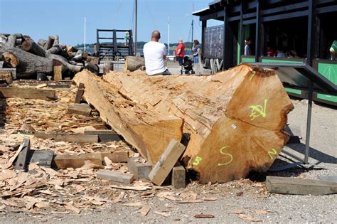 Roskilde Bloggen Vikingeskibet Skuldelev Fotosidan