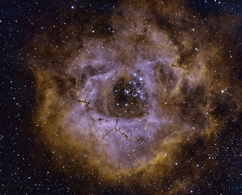 C49 Rosette Ha Oiii Imaging Deep Sky Stargazers Lounge