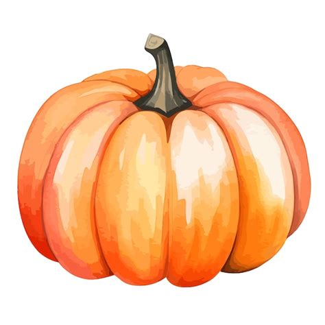 Arte De Calabaza Acuarela Vector Premium