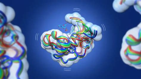 Revealing The Mysteries Of Enzyme Evolution A New Breakthrough