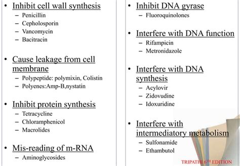 Antibiotic In Endodontic Ppt