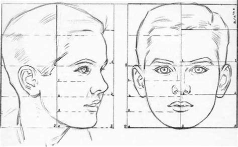 Pencil Drawing Faces Proportions - pencildrawing2019