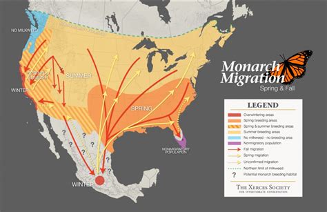 Monarch Butterfly Distribution Map - Monarch Butterfly Migration Map California | Printable Maps