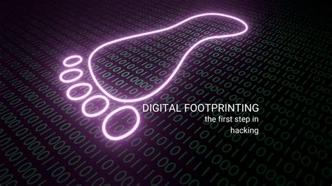 Detecting The Hacker Digital Footprinting Enhalo