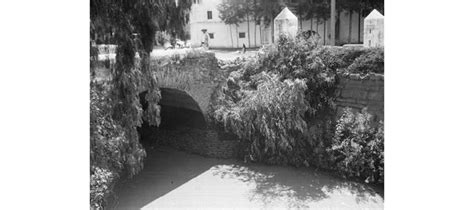 Cómo Se Veía Coyoacán Hace 100 Años Infobae