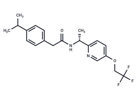 Cas 953778 58 0 Cymitquimica