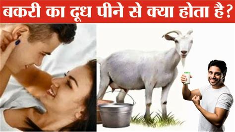 Bakri Ka Doodh Peene Se Kya Hota Hai Bakri Ka