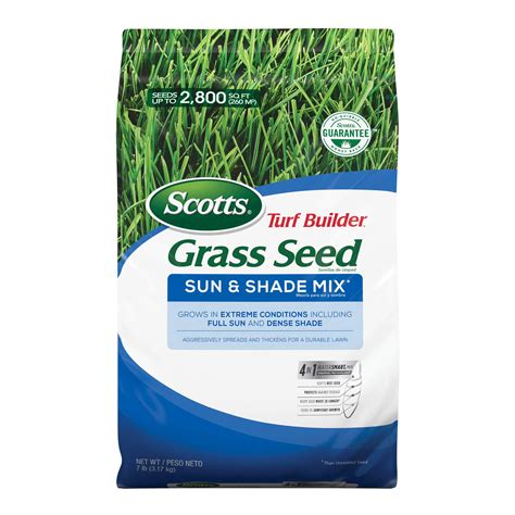 Top 5 Best Grass Seed For Sandy Soil 2024 Pixelfy Blog