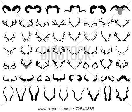 Horns Vector & Photo (Free Trial) | Bigstock