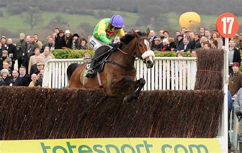 Kauto Star: a multiple Cheltenham Festival Gold Cup hero