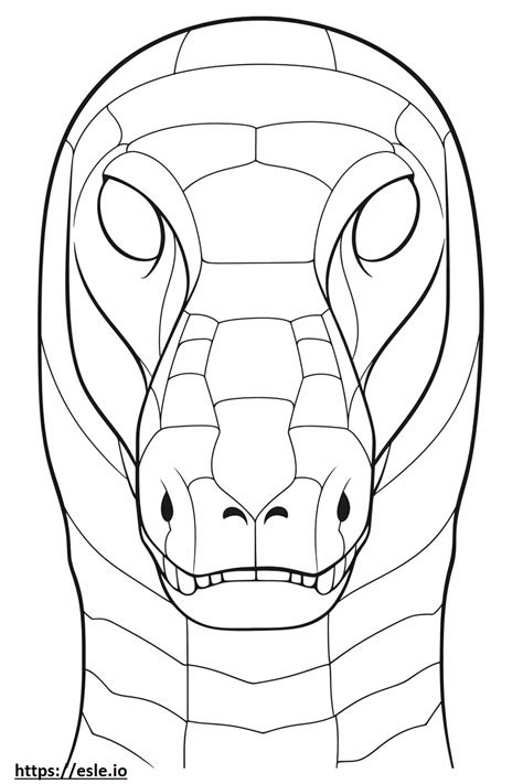 Coloriage Visage D Anaconda Bolivien Imprimer