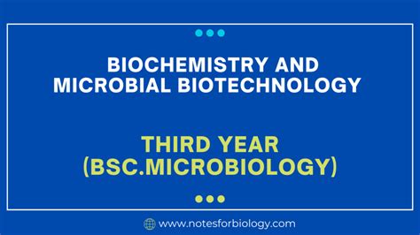 Biochemistry And Microbial Biotechnology Second Year