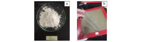 The Modified Cassava Starch A The Bioplastic Of The Modified Cassava