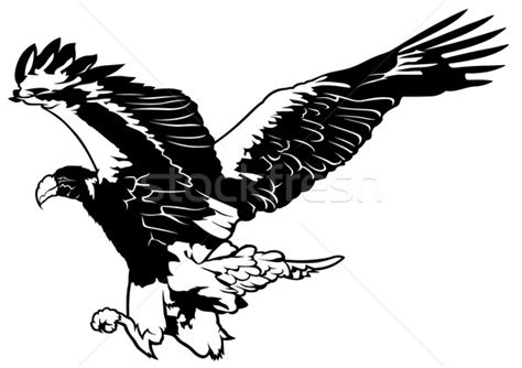 Eagle Talon Drawing at GetDrawings | Free download