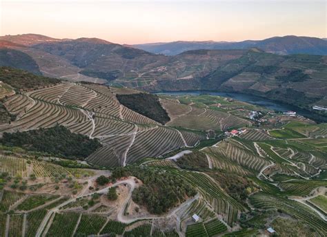 The 10 Absolute Best Wine Regions in the World