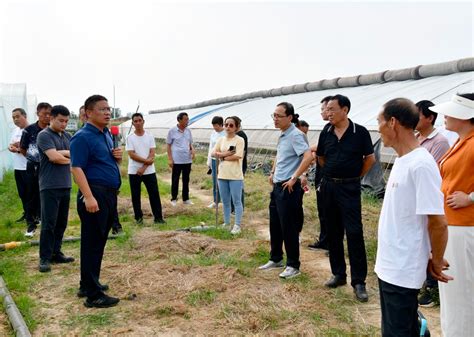 三门峡示范区阳店镇：观摩学习促发展 乡村振兴再助力 关注森林