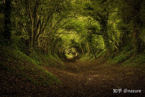 4k电脑壁纸分享，注意高能！！！ - 知乎