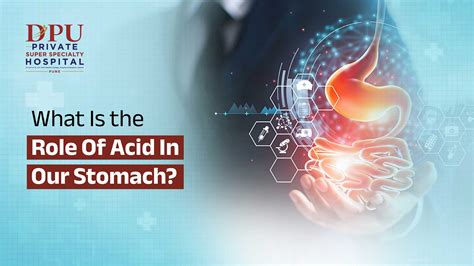 What Is The Role Of Acid In Our Stomach Dpu Hospital