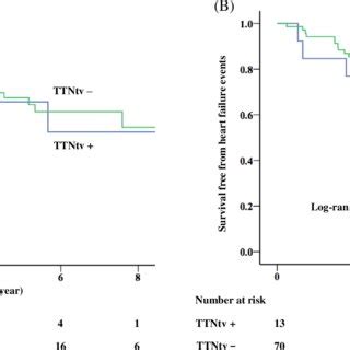 Survival Curves Of The Primary Endpoint A And The Secondary Endpoint