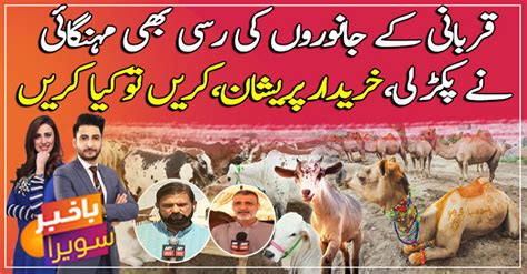 Qurbani Kay Janwar Zameen Par Magar Qeematein Aasmano Par Video