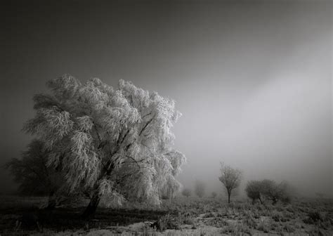 Winterlandschap Landschapsfoto S Van Landschapsfotograaf Bas Meelker