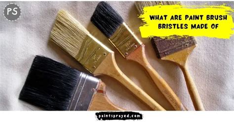 What Are Paint Brush Bristles Made Of Paint Sprayed