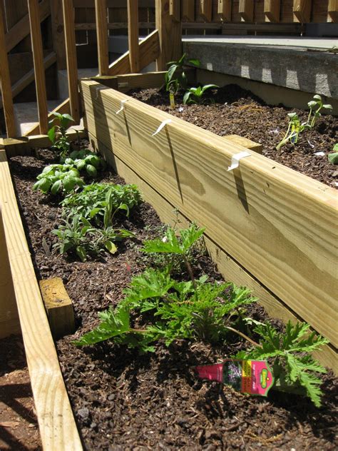 Tiered Raised Garden Bed Ideas Gardenbz