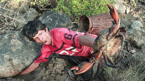 Giant Crab Hunting Barehanded Catching Many Huge Crabs With Traditional Tools Youtube