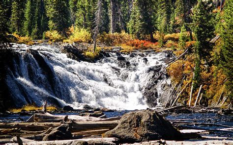 Lewis Falls At Yellowstone Photograph By David Choate