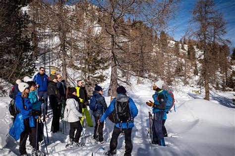 Dos Del Cirmi Guide Alpine Campiglio