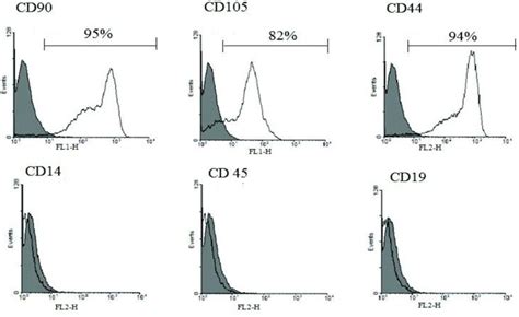 Characterization Of Human Adscs Flow Cytometric Analysis Of Human Download Scientific Diagram