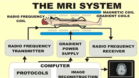 Mri Principle With Animation Youtube