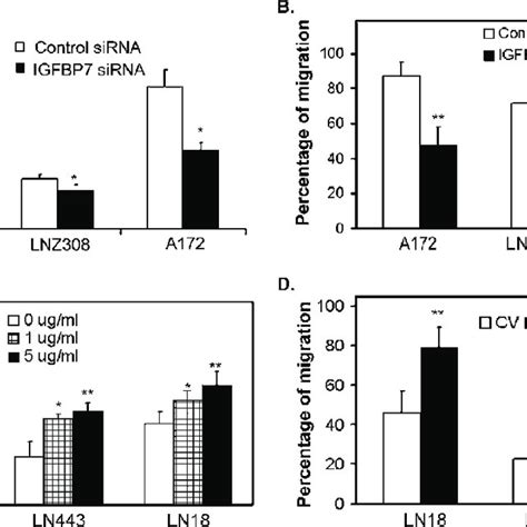 Insulin Like Growth Factor Binding Protein Regulates Glioma Cell