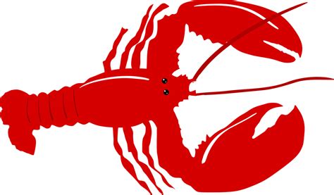 Seafood clipart crayfish, Seafood crayfish Transparent FREE for ...