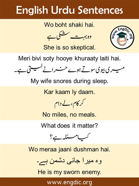 Dictionary English To Urdu Sentences Translation At Aida Finch Blog