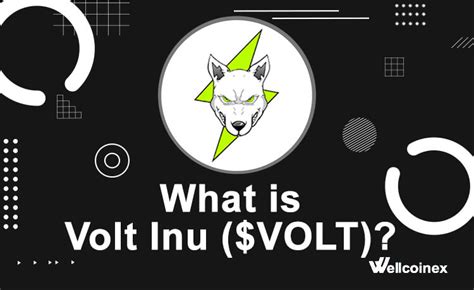 What is Volt Inu (VOLT)? - Wellcoinex