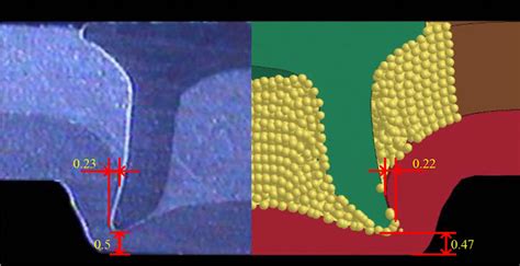 Cross Sectional Comparison Diagram Of Spr Experiment And Simulation