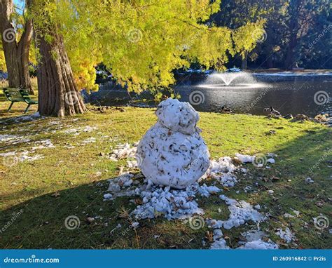 Snowman In Beacon Hill Park Victoria Bc Stock Photo Image Of Fresh