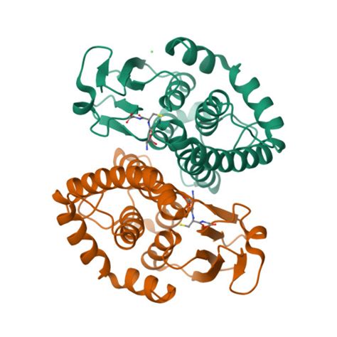 Rcsb Pdb 4gci Crystal Structure Of Glutahtione S Transferase Homolog