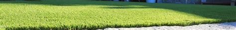 Artifical Grass Elegant Lawns